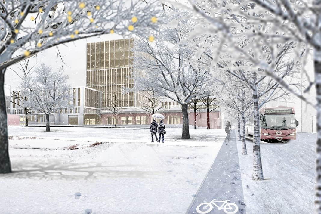 Vision image of the area winter time.